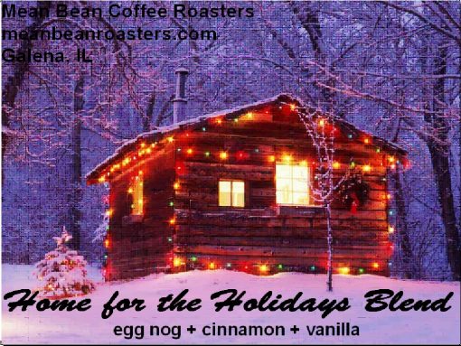 home for the holidays
