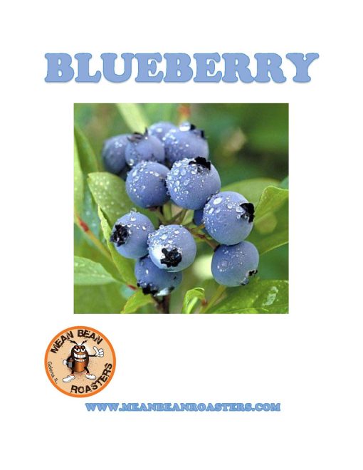 BLUEBERRY-page-001