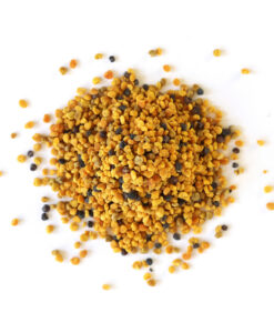 Barberry Root (bark)