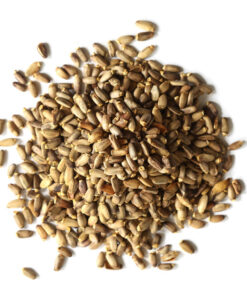 Milk Thistle (powder & seed)
